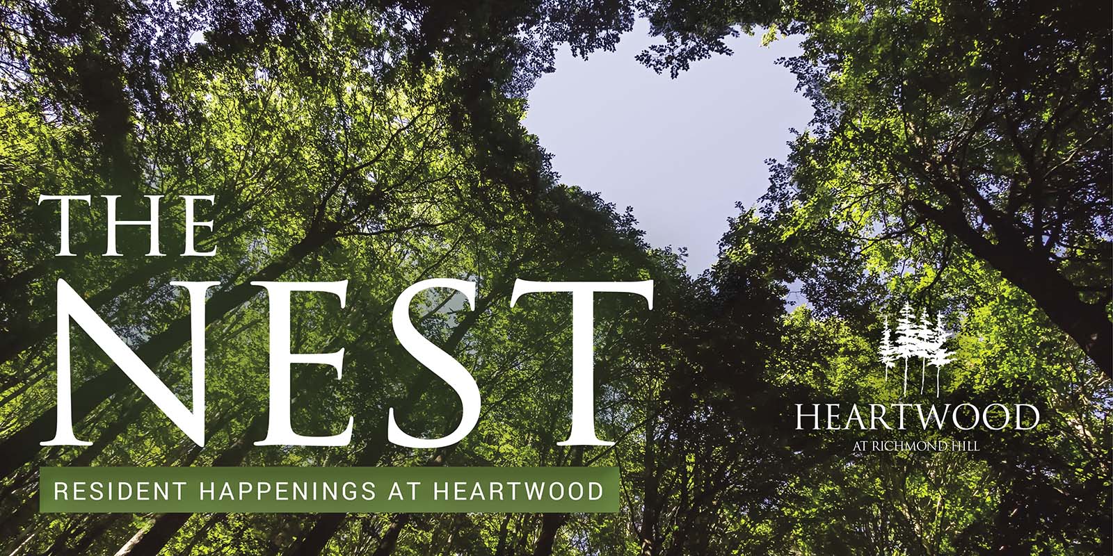 Nest Webpage header 1600×800
